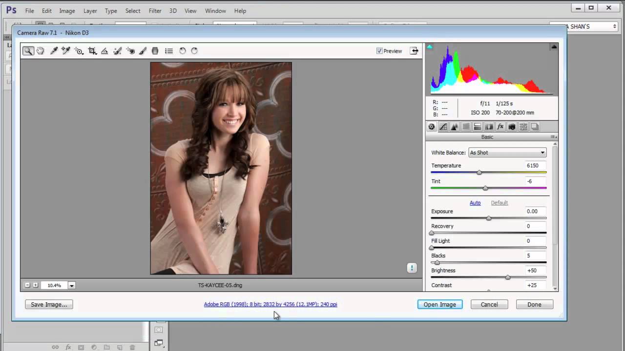 Adobe photoshop camera raw update